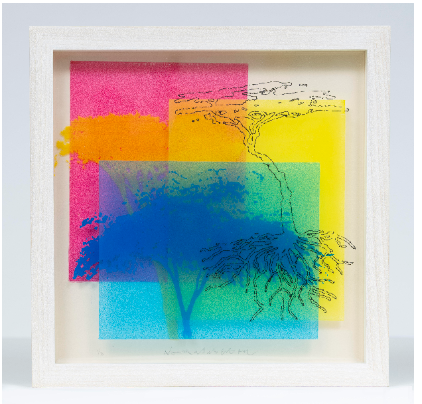 COPSE OF ACIACA DEALBATA