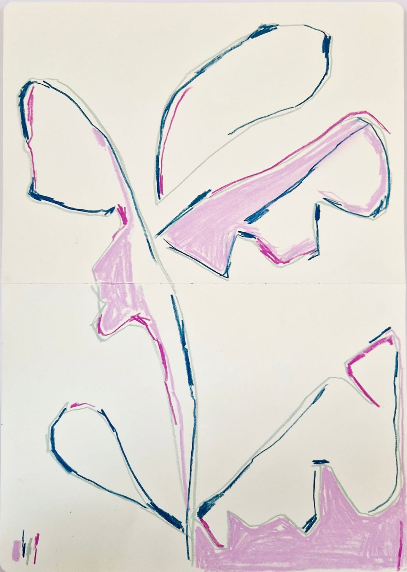 Banana Leaf Study