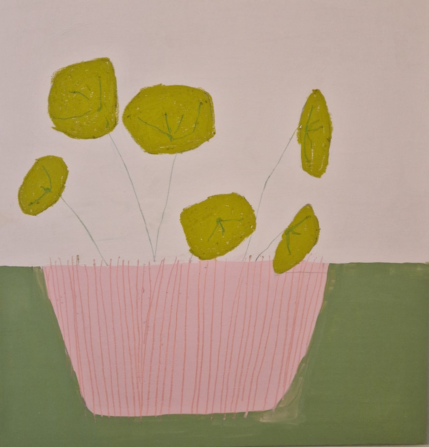 PILEA