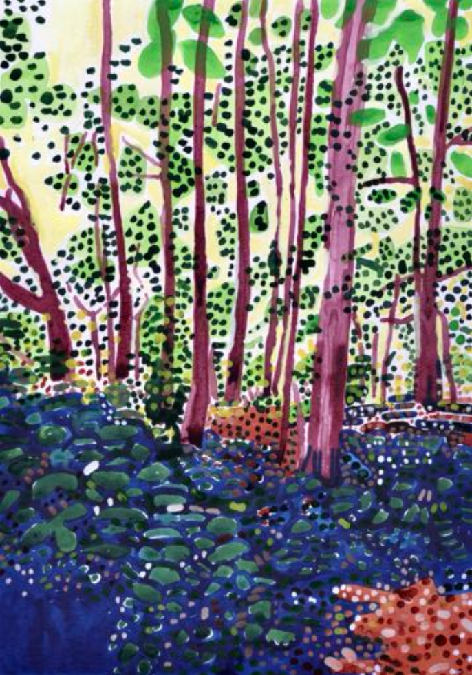 Light Coming Through the Birches