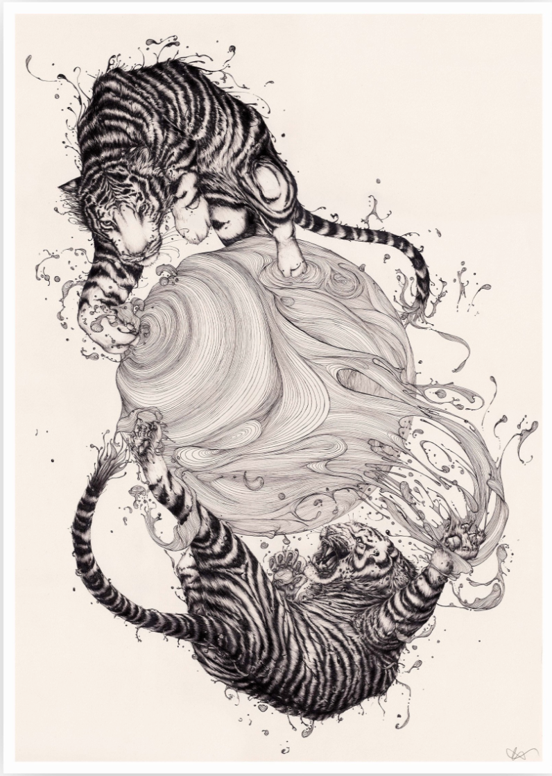 WATER TIGERS