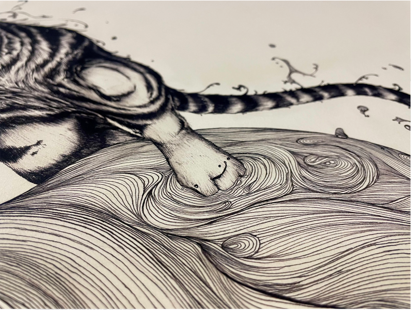 WATER TIGERS