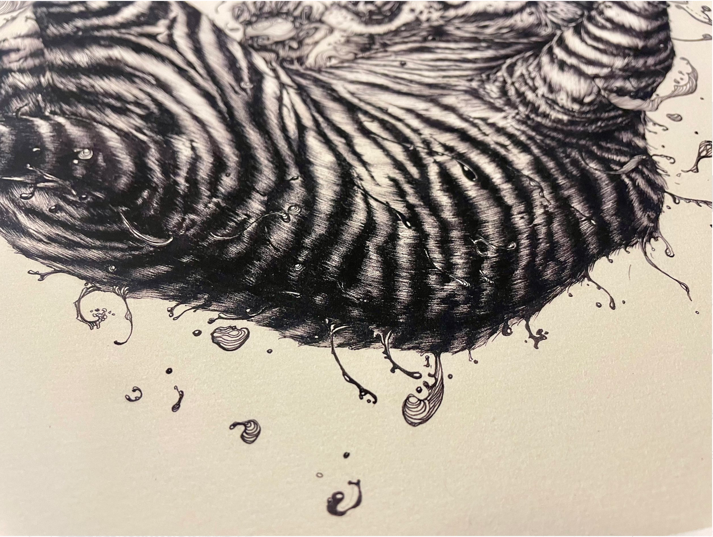 WATER TIGERS