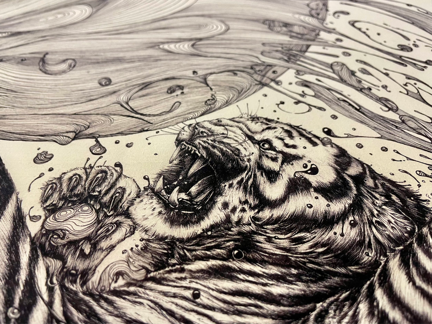 WATER TIGERS