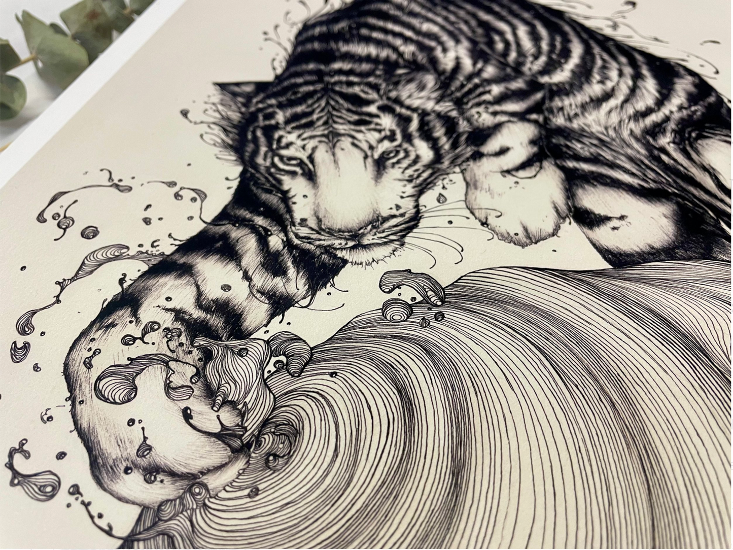 WATER TIGERS