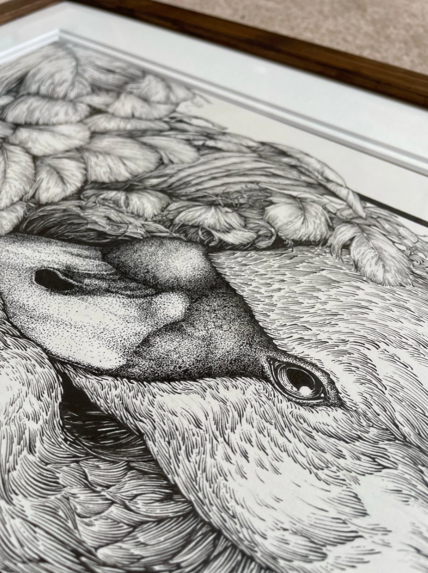 Under the Wing