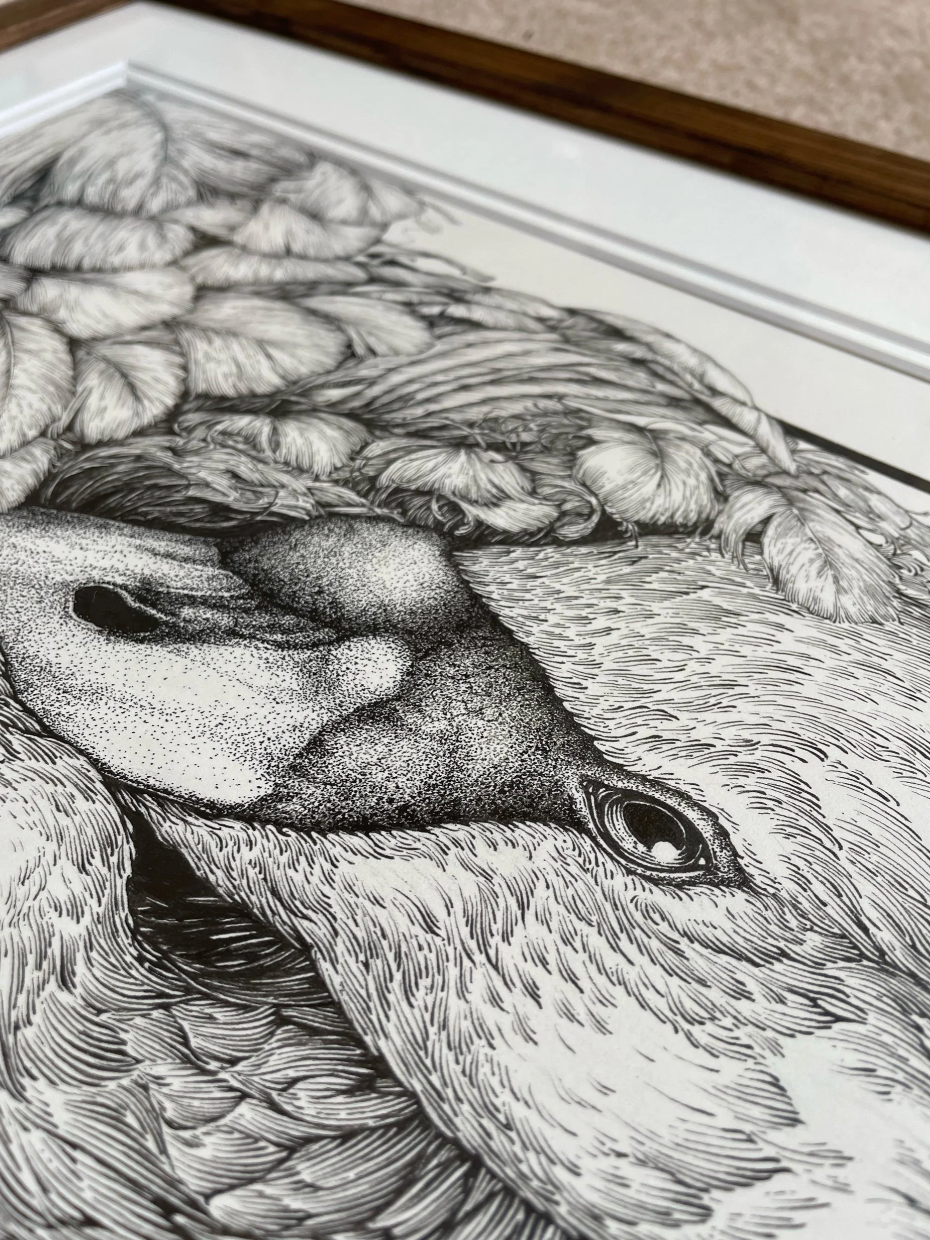 Under the Wing